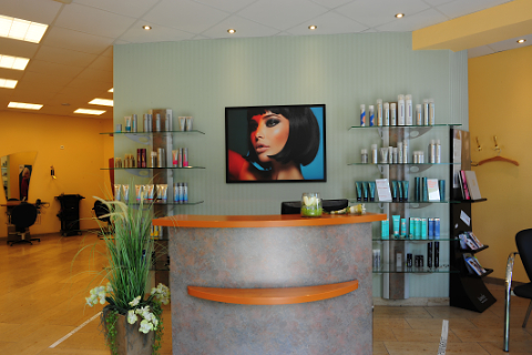 Empfangsbereich mit Tresen und Verkaufsregalen